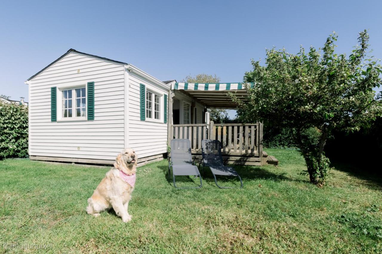 Le Cottage De Lyxie-Nature Et Sports Talmont-Saint-Hilaire エクステリア 写真