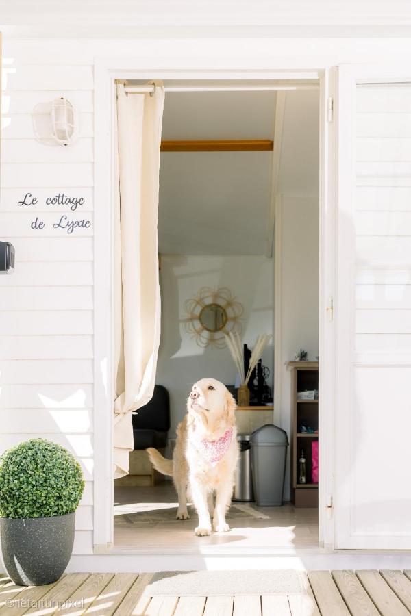 Le Cottage De Lyxie-Nature Et Sports Talmont-Saint-Hilaire エクステリア 写真