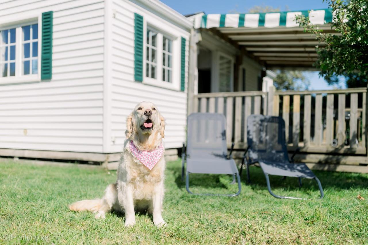 Le Cottage De Lyxie-Nature Et Sports Talmont-Saint-Hilaire エクステリア 写真