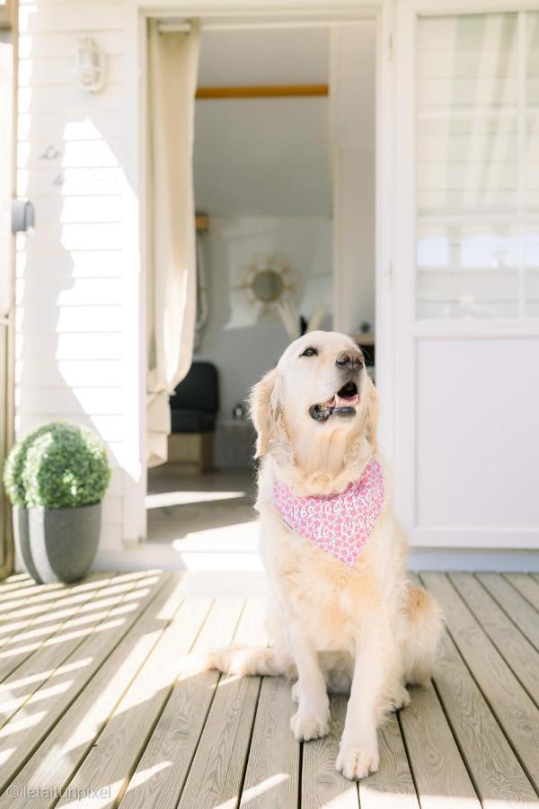 Le Cottage De Lyxie-Nature Et Sports Talmont-Saint-Hilaire エクステリア 写真
